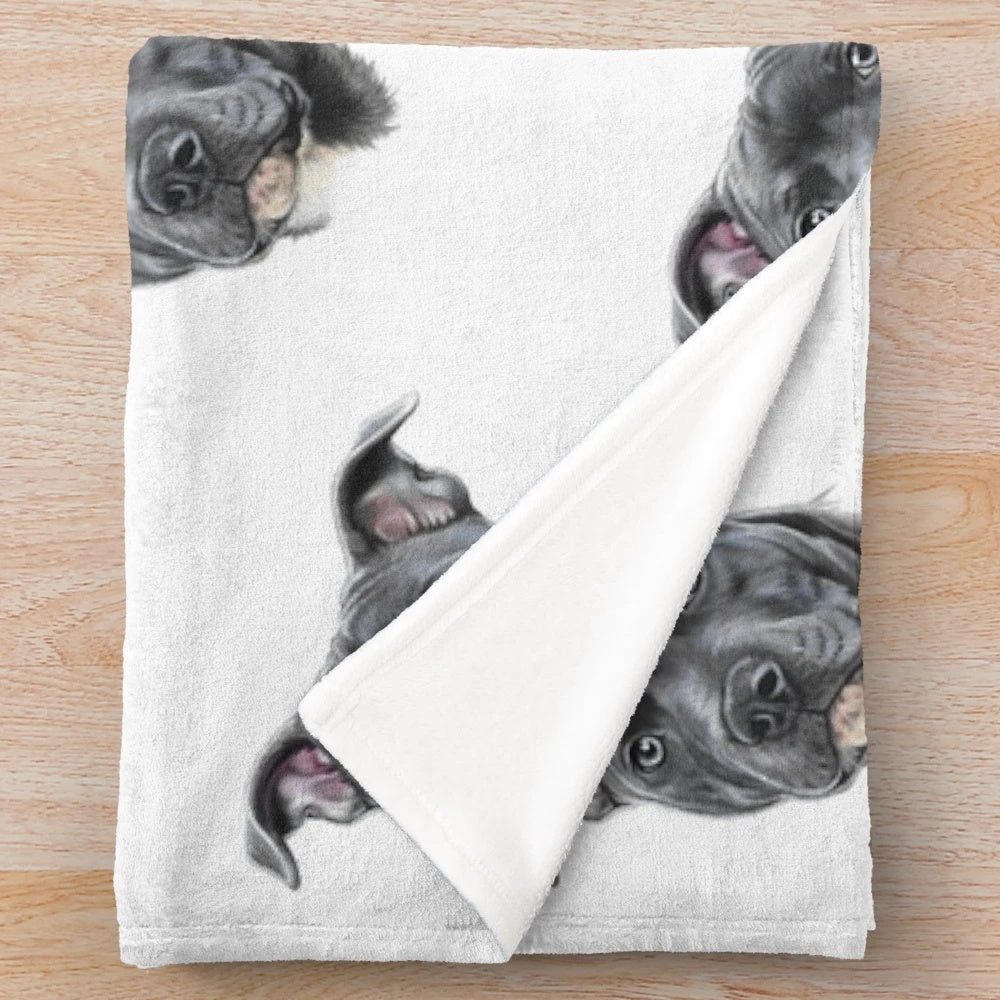 A soft and plush blue staffy dog blanket
