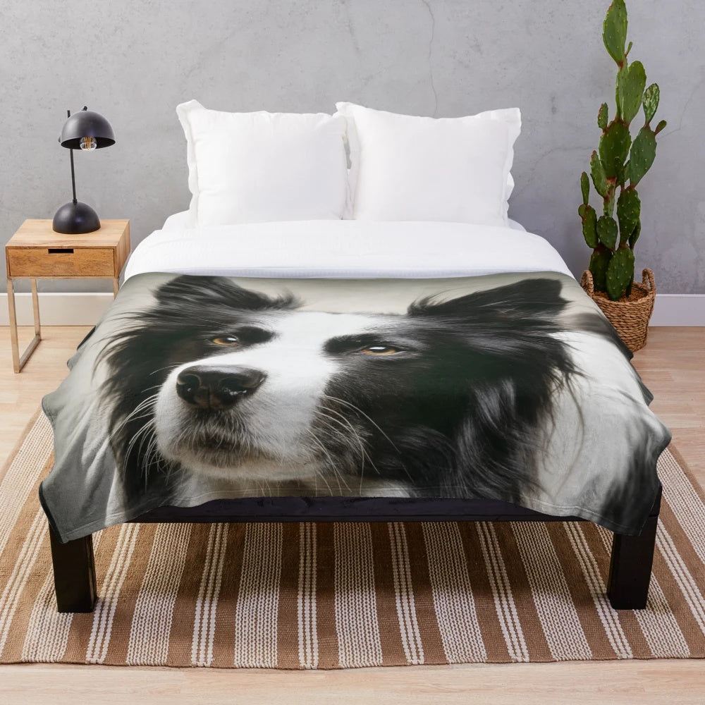 Working border collie pet portrait on a plush blanket