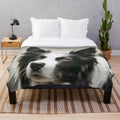 Working border collie pet portrait on a plush blanket