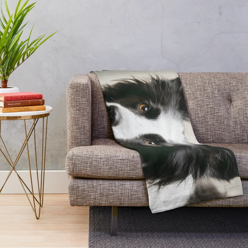 Working border collie pet portrait on a plush blanket