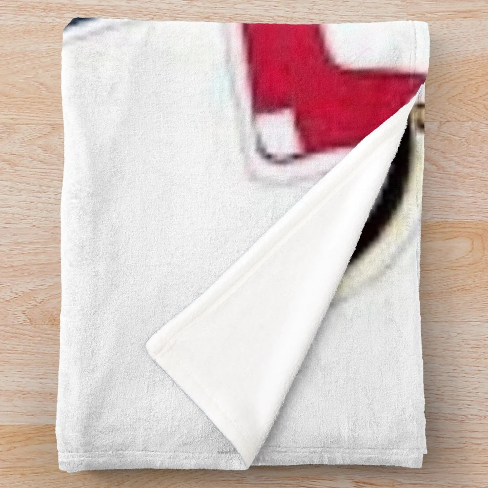 Boston sports themed plush blanket