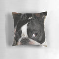 Soft and plush Boston Terrier themed pillow for pet owners