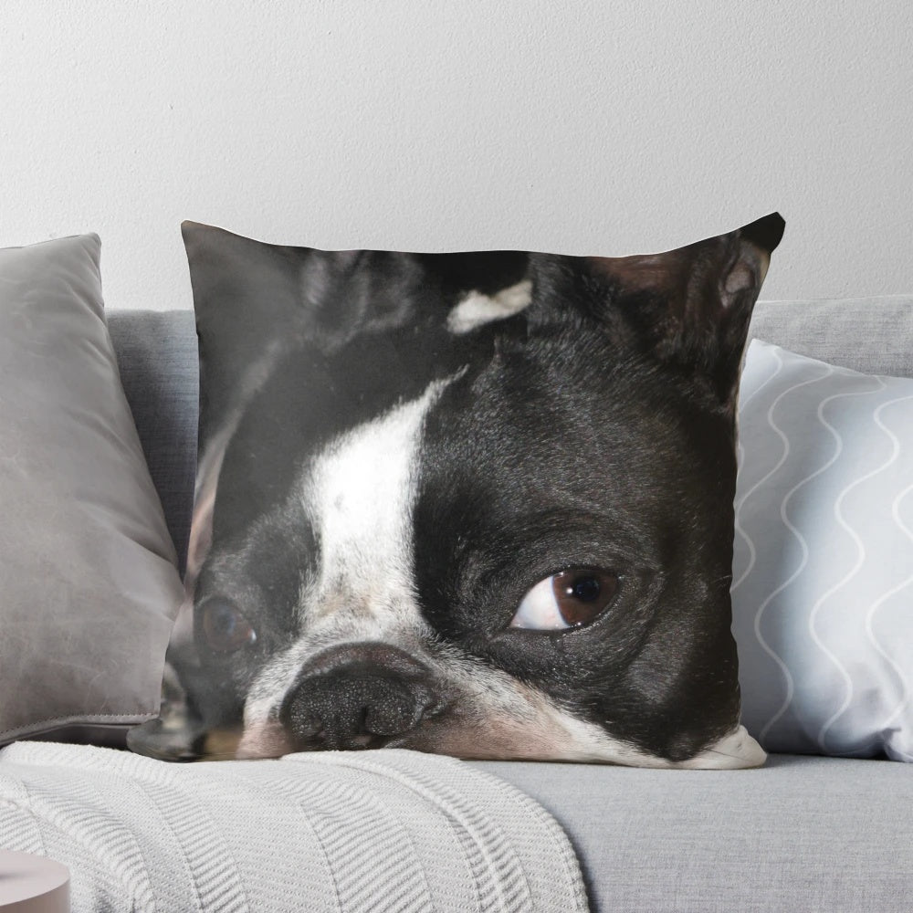 Soft and plush Boston Terrier themed pillow for pet owners