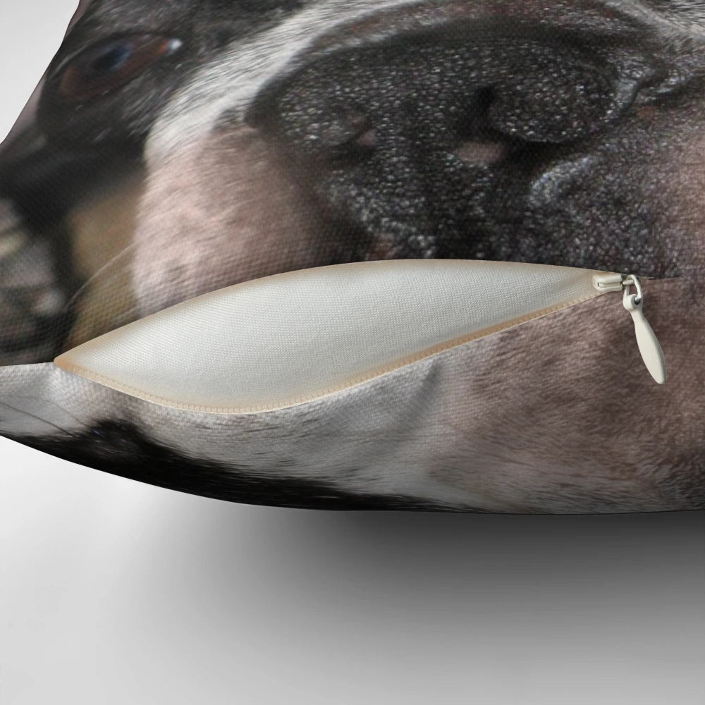 Soft and plush Boston Terrier themed pillow for pet owners