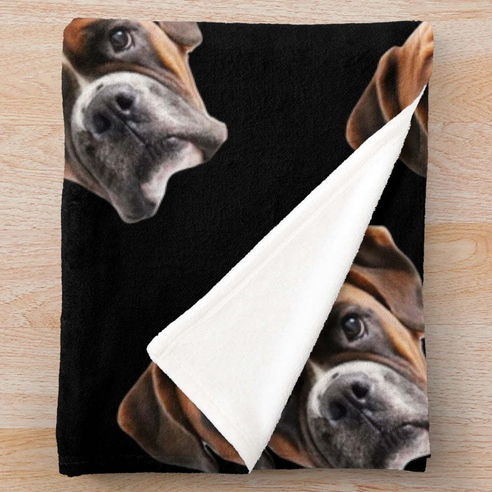 Boxer dog plush blanket with a classically turned face