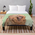 Briard dog portrait on a plush blanket