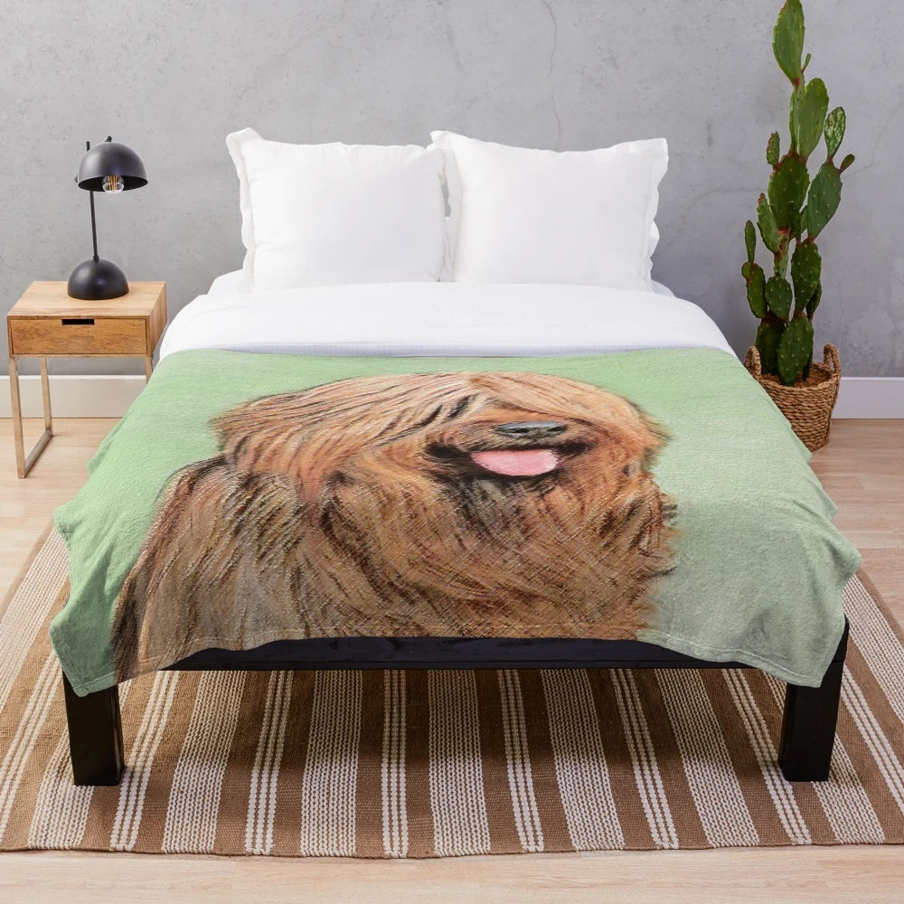 Briard dog portrait on a plush blanket