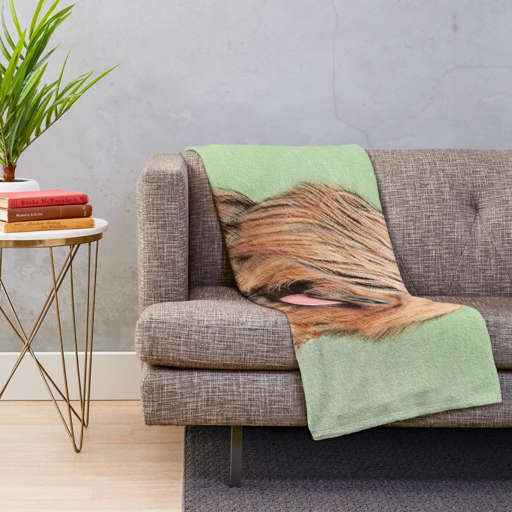 Briard dog portrait on a plush blanket