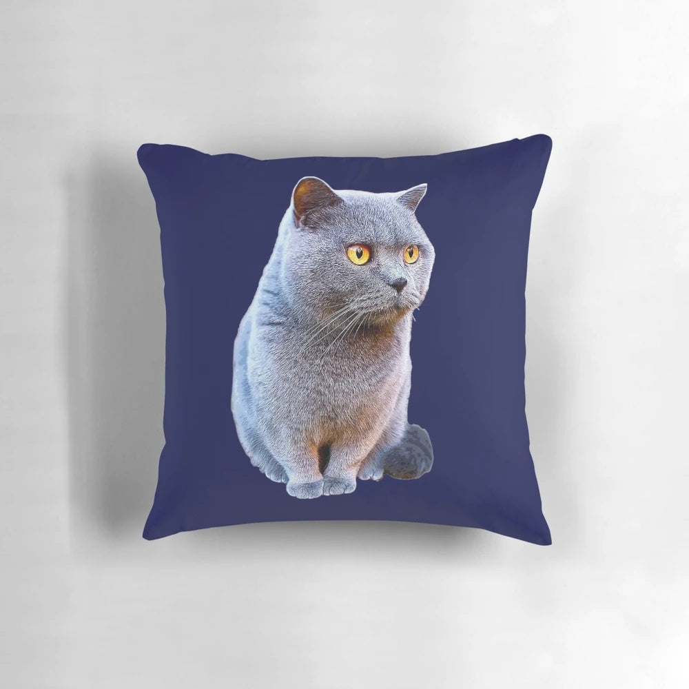 Blue Pillow with Adorable British Shorthair Cat Image
