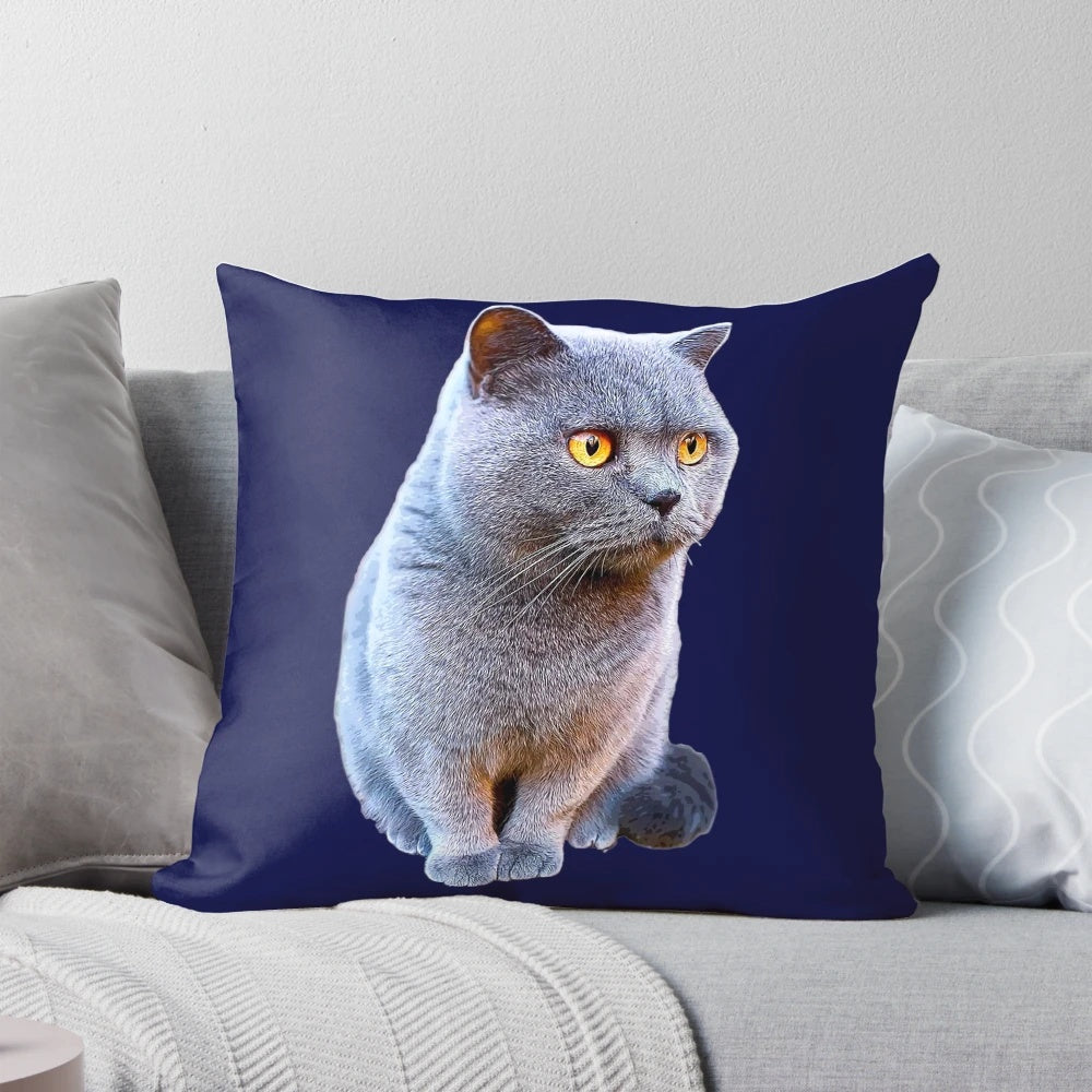 Blue Pillow with Adorable British Shorthair Cat Image