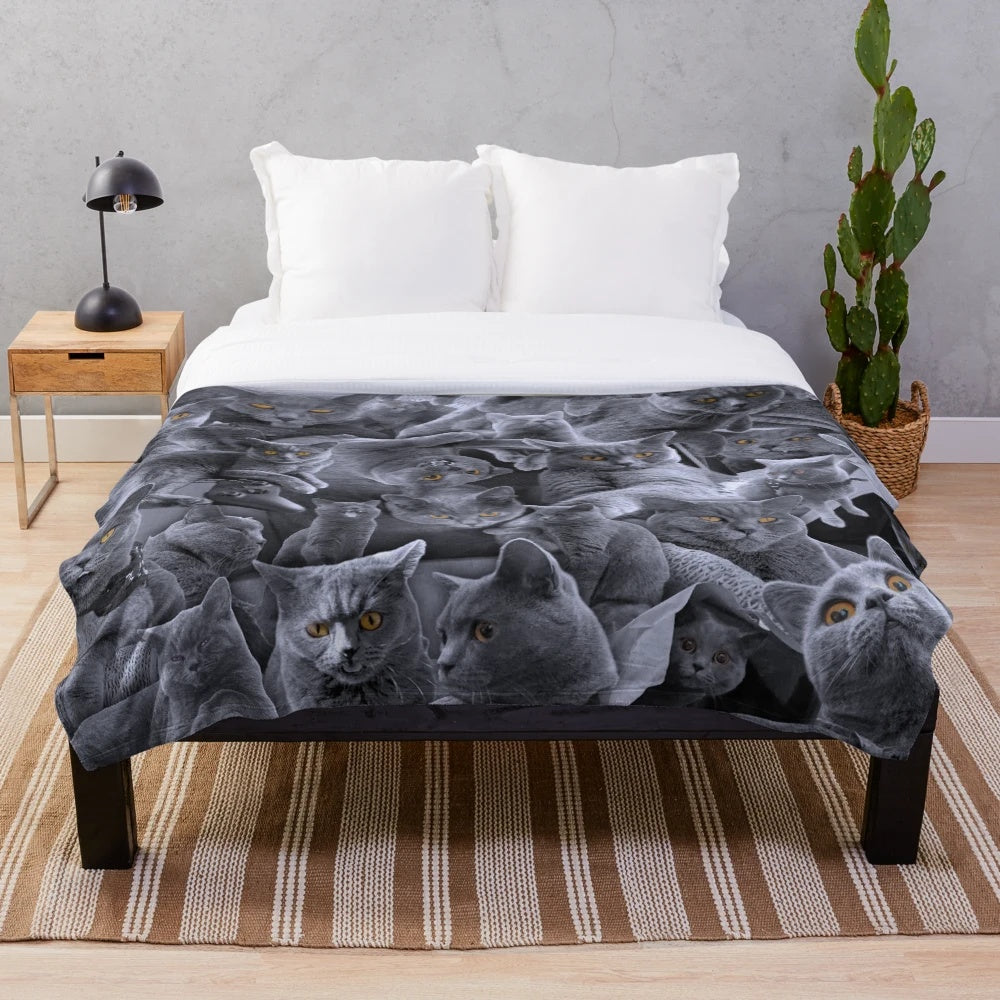 Soft and cuddly plush blanket featuring a collage of British Shorthair cats