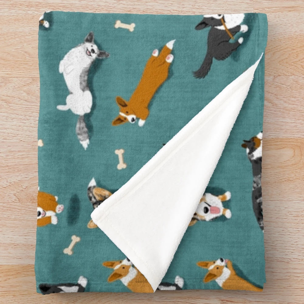 Cardigan Corgi pattern on a teal plush blanket