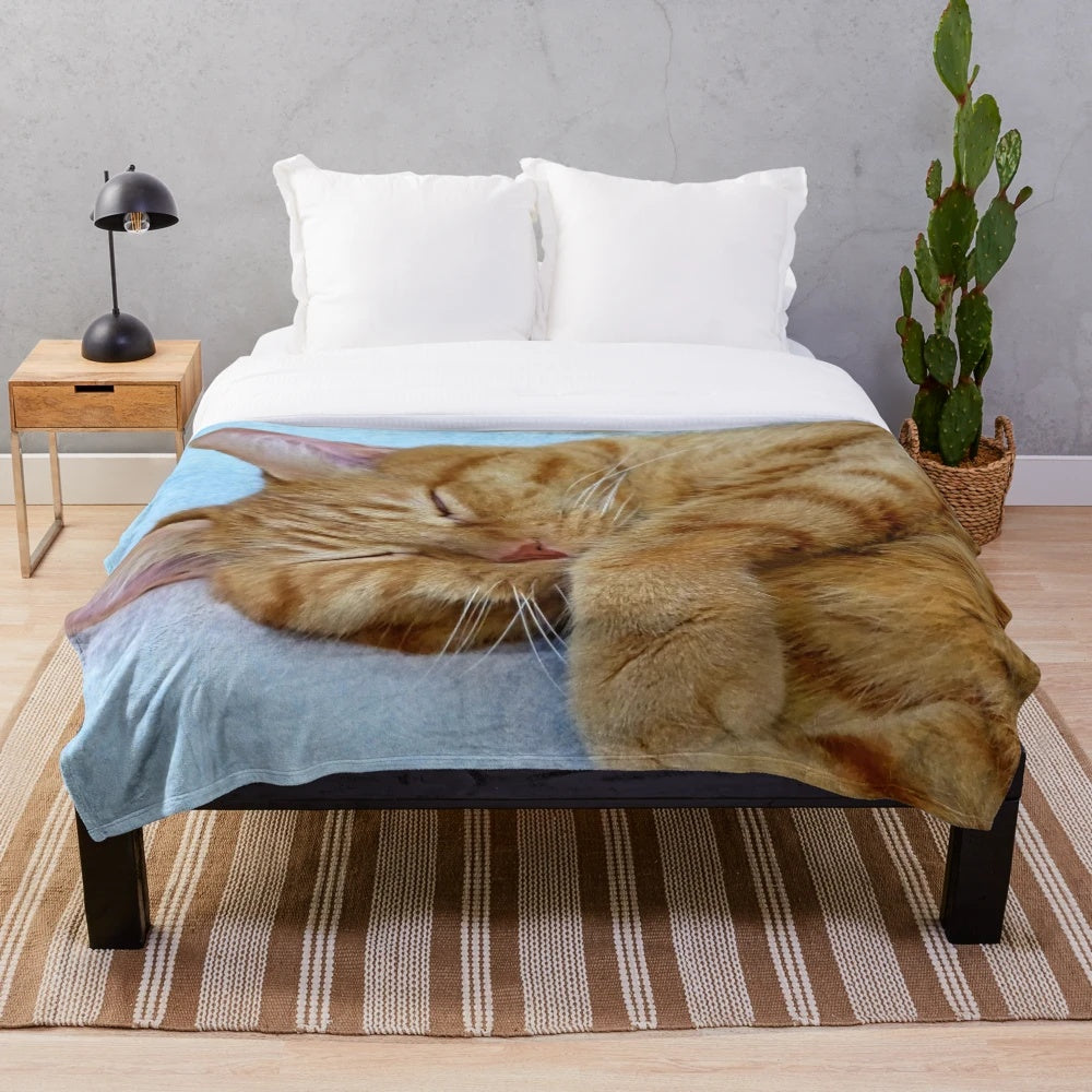 Soft, plush blanket with a sleeping ginger cat design