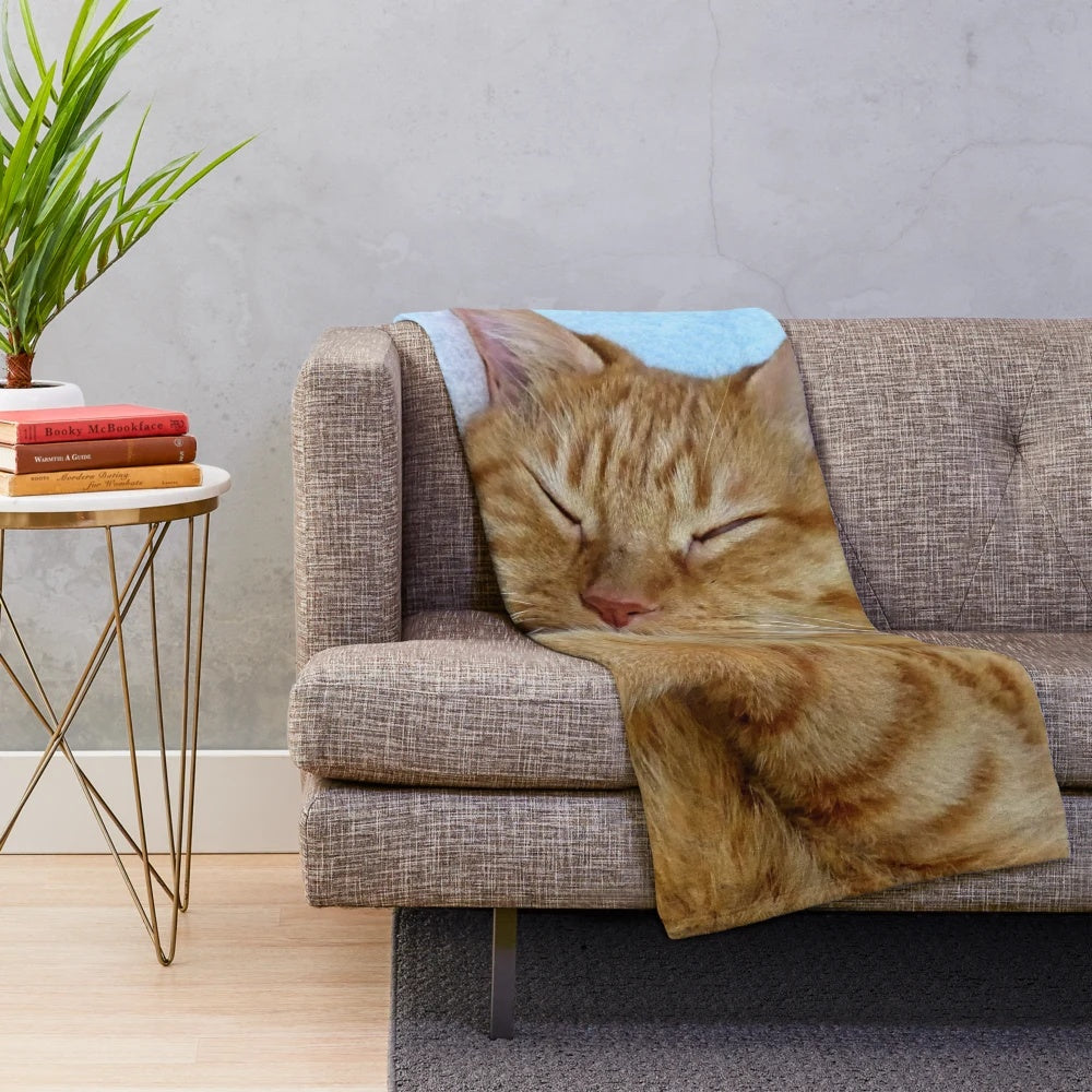 Soft, plush blanket with a sleeping ginger cat design