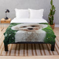 Soft and cuddly cavachon-themed plush blanket