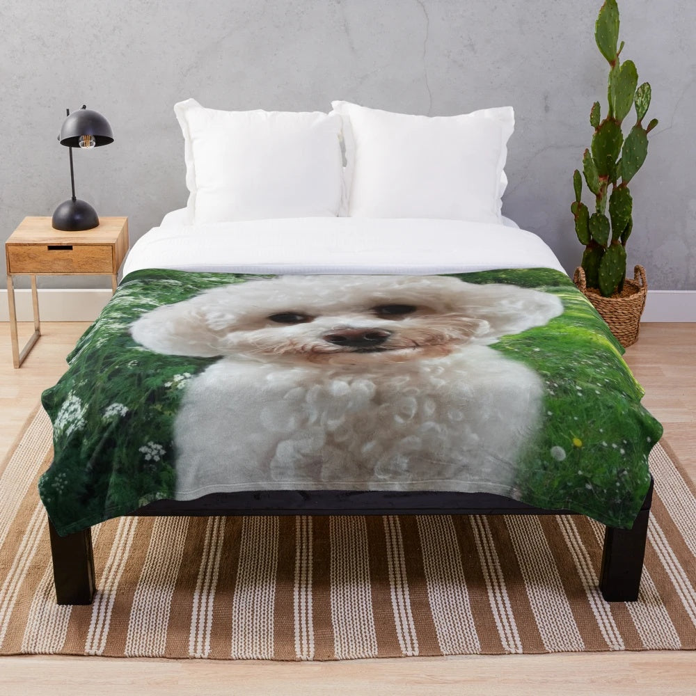 Soft and cuddly cavachon-themed plush blanket