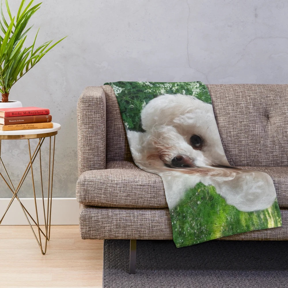 Soft and cuddly cavachon-themed plush blanket