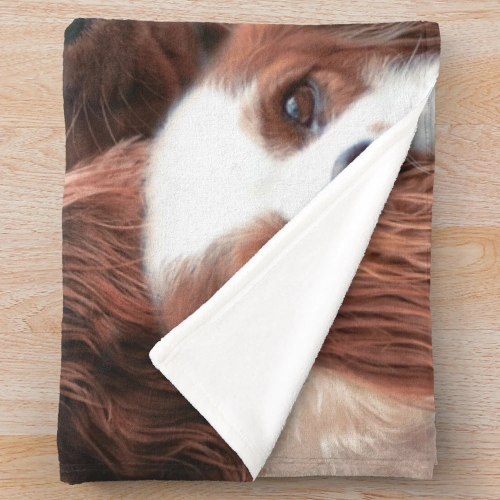 Soft and cuddly plush blanket featuring a Cavalier King Charles Spaniel design