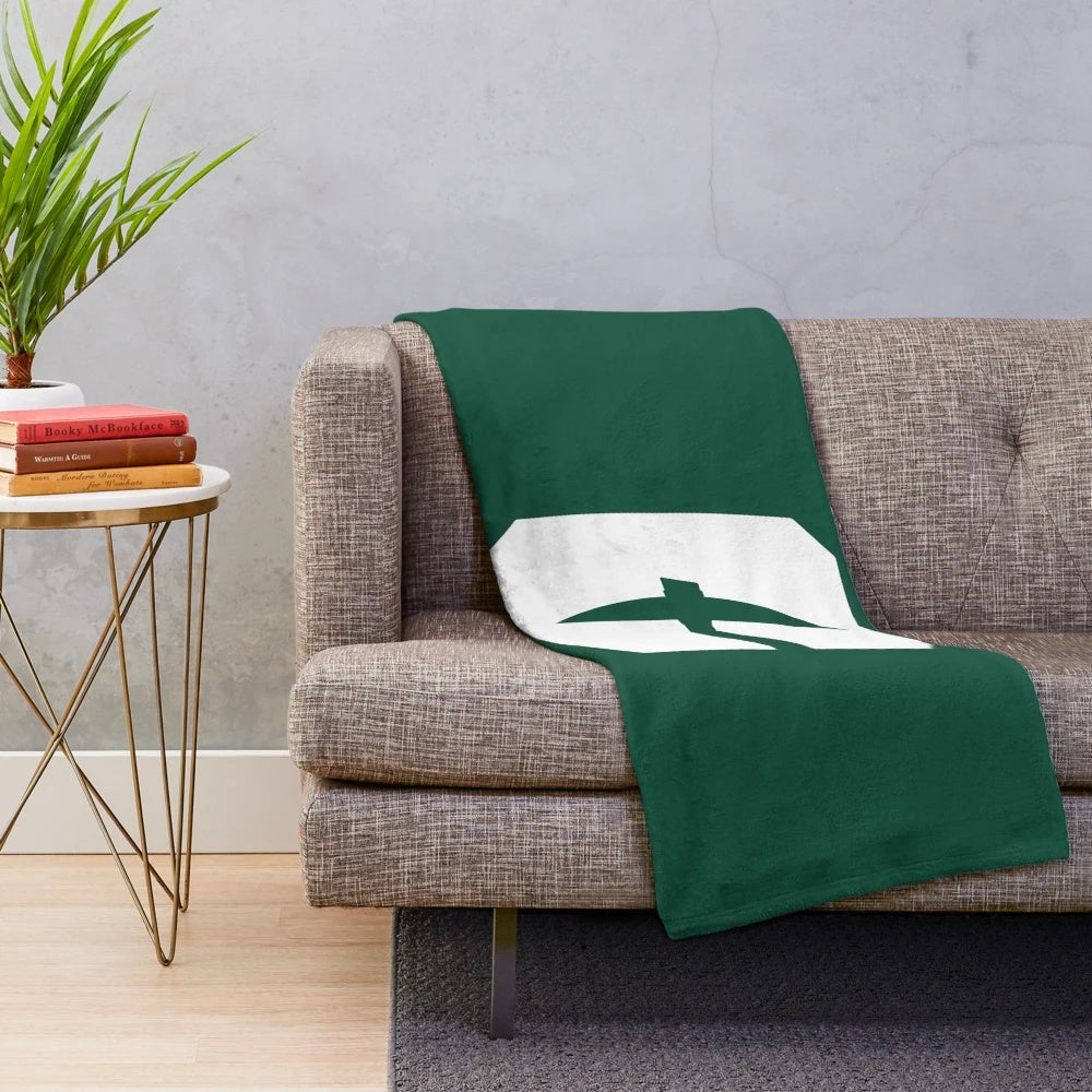 Charlotte 49ERS inspired plush blanket featuring the team's colors and logo