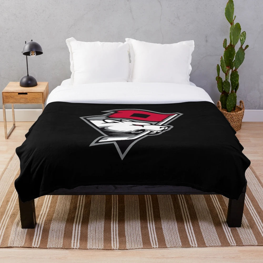 Charlotte Checkers-inspired plush blanket