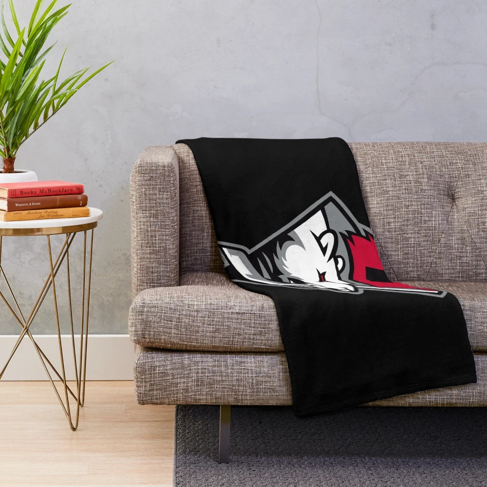 Charlotte Checkers-inspired plush blanket