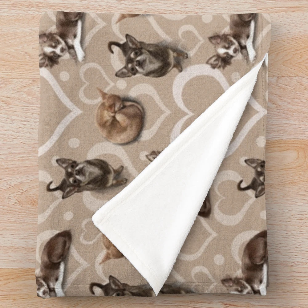 Chihuahua plush blanket for small dog breed enthusiasts