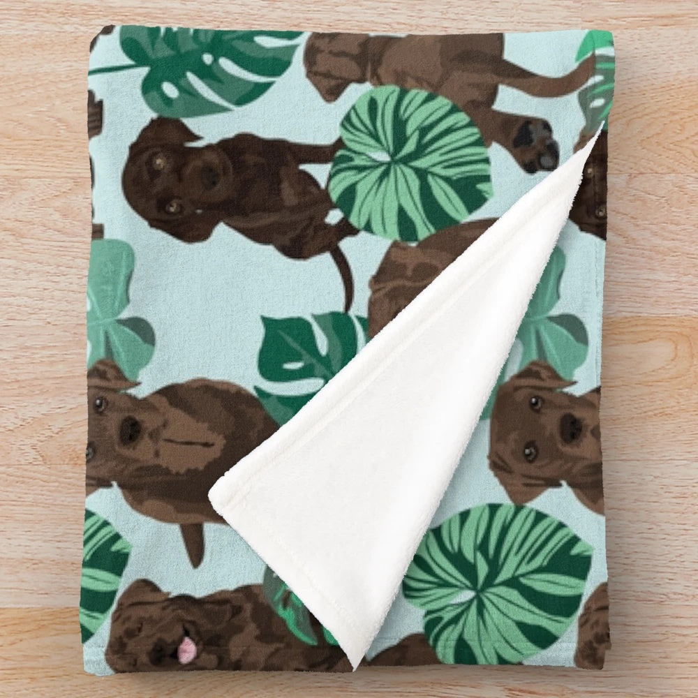 Chocolate Labrador Retriever Curled up on a Tropical Plush Blanket
