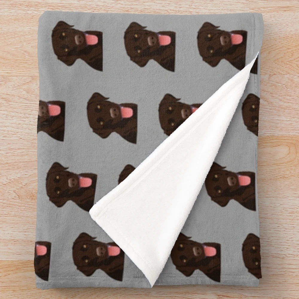 Chocolate Labrador Retriever dog on a soft plush blanket