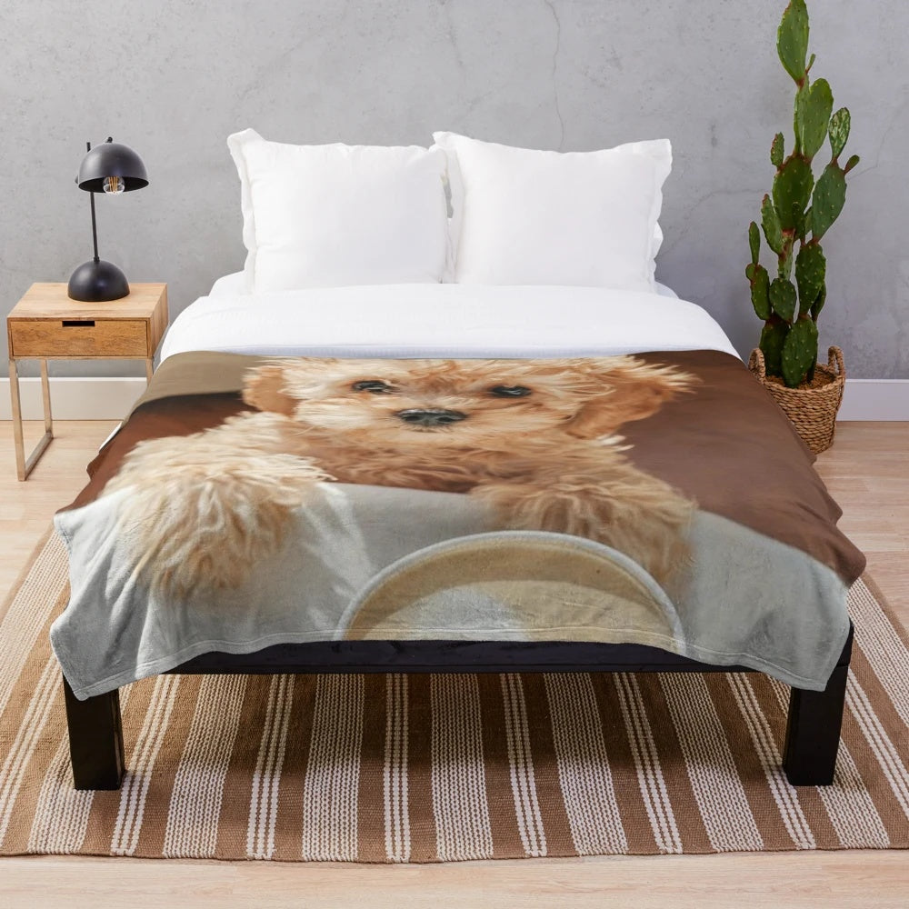 Cute cockapoo dog design plush blanket
