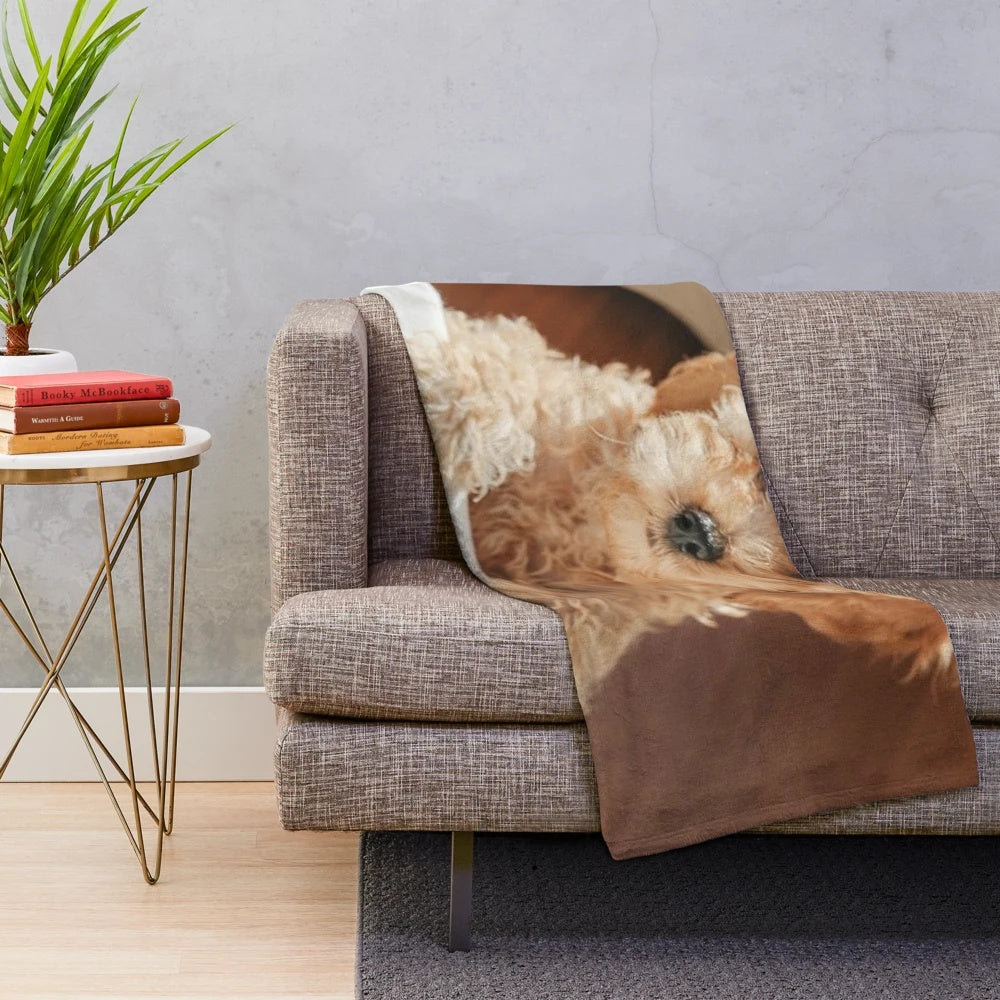 Cute cockapoo dog design plush blanket
