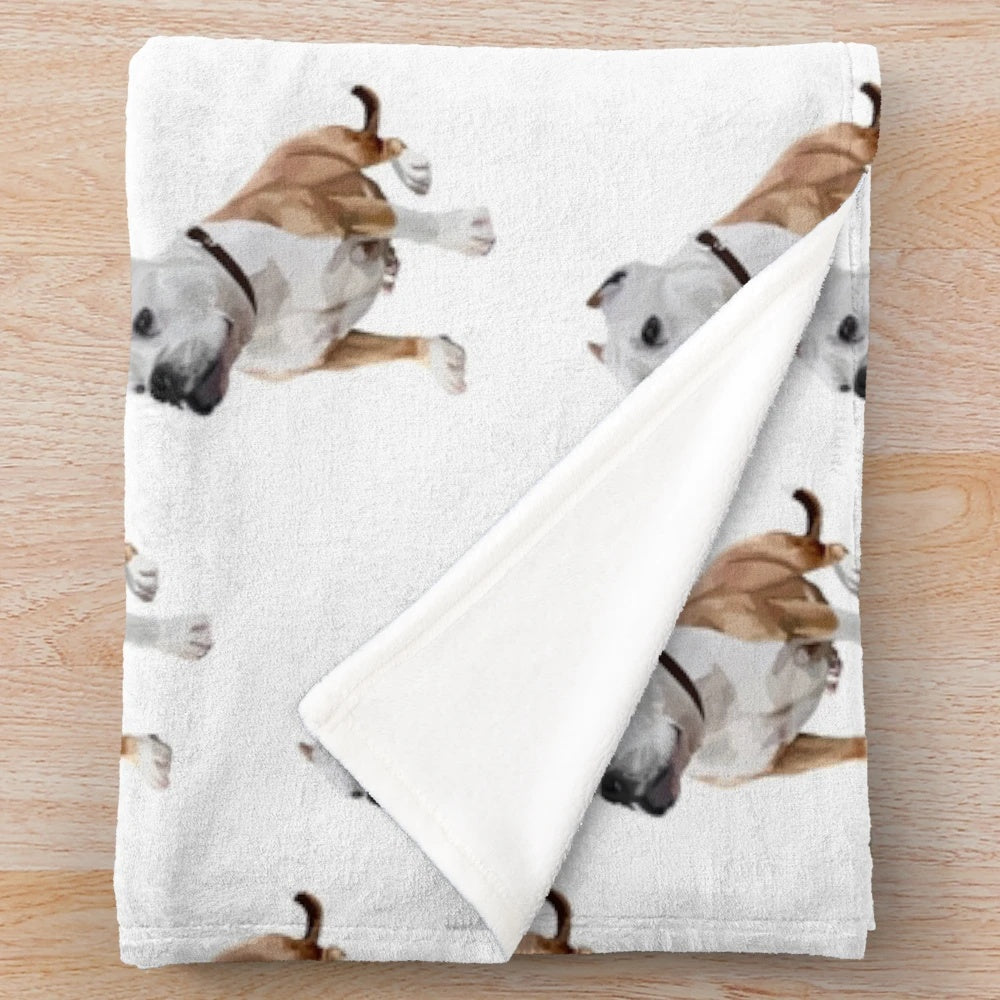 Soft and plush cookie-themed blanket for dogs and pets