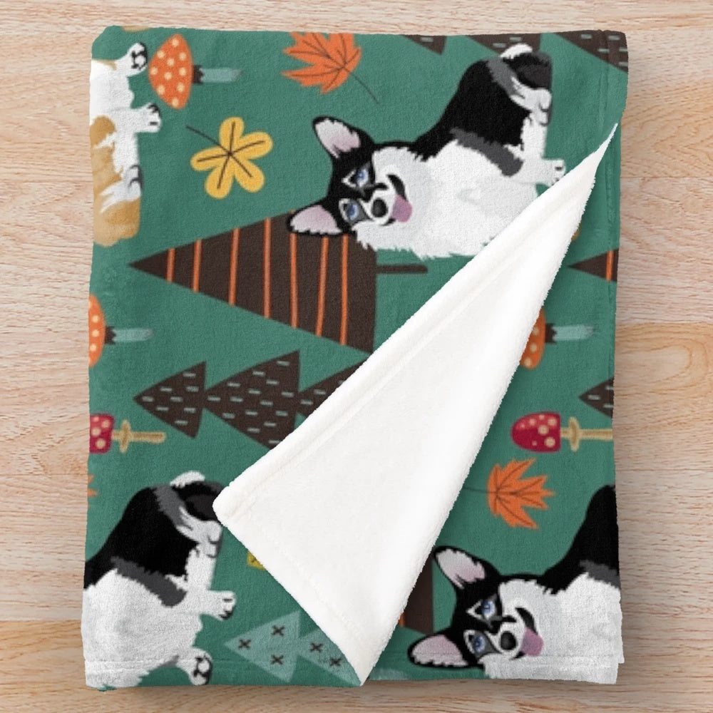 Corgis in a fall forest with mushrooms and flowers, dark teal plush blanket