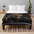 Dachshund dog portrait on a plush blanket