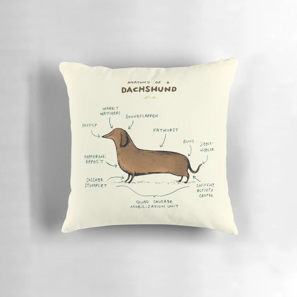 Soft, plush dachshund pillow with anatomical design and cute sausage dog features