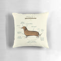Soft, plush dachshund pillow with anatomical design and cute sausage dog features