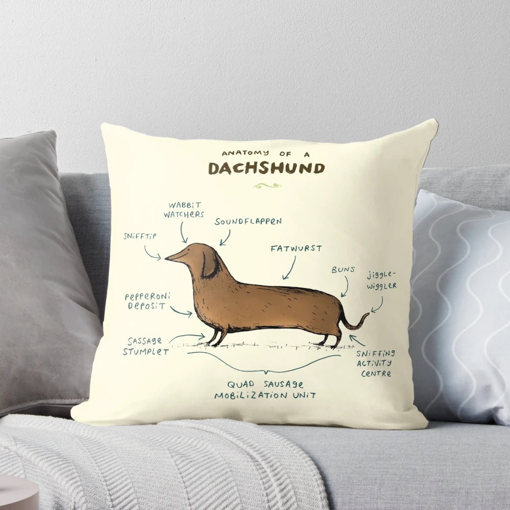 Soft, plush dachshund pillow with anatomical design and cute sausage dog features