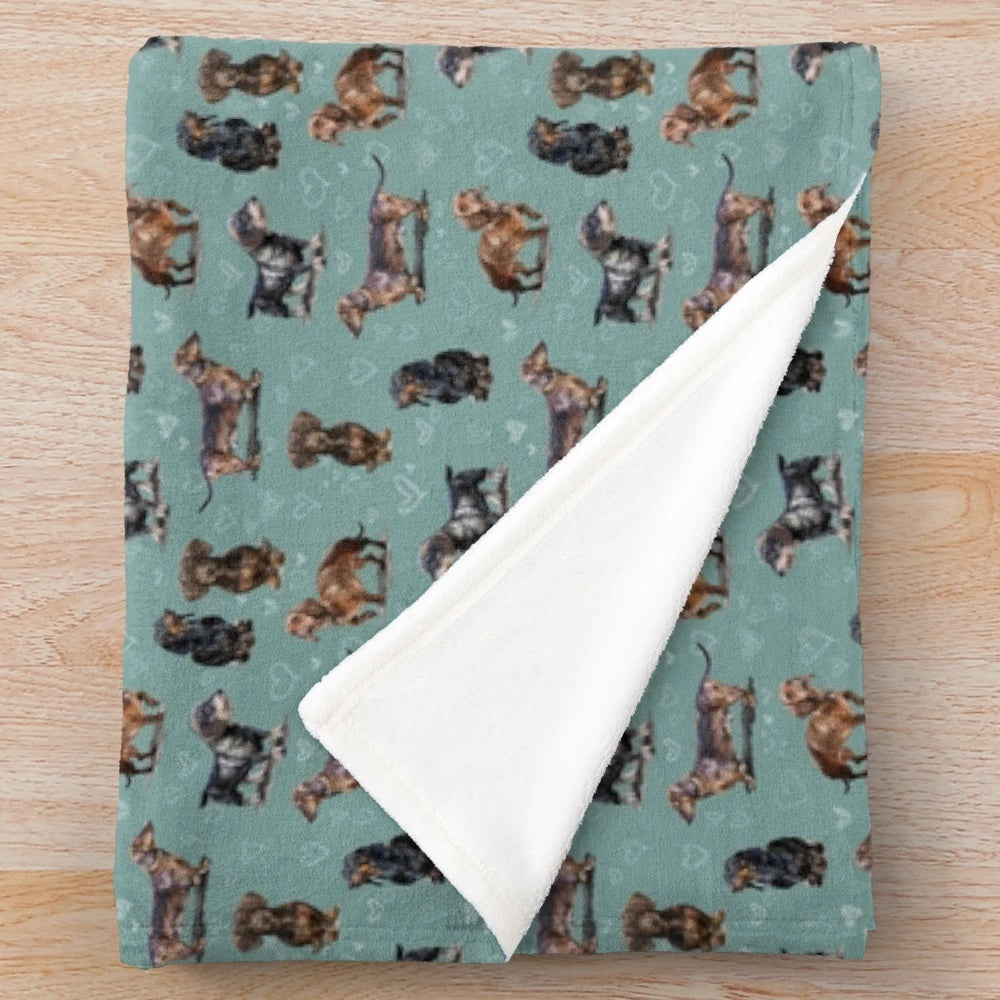 Soft and cuddly dachshund plush blanket for pet owners