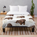 Dachshund plush blanket with brown dog lying on it