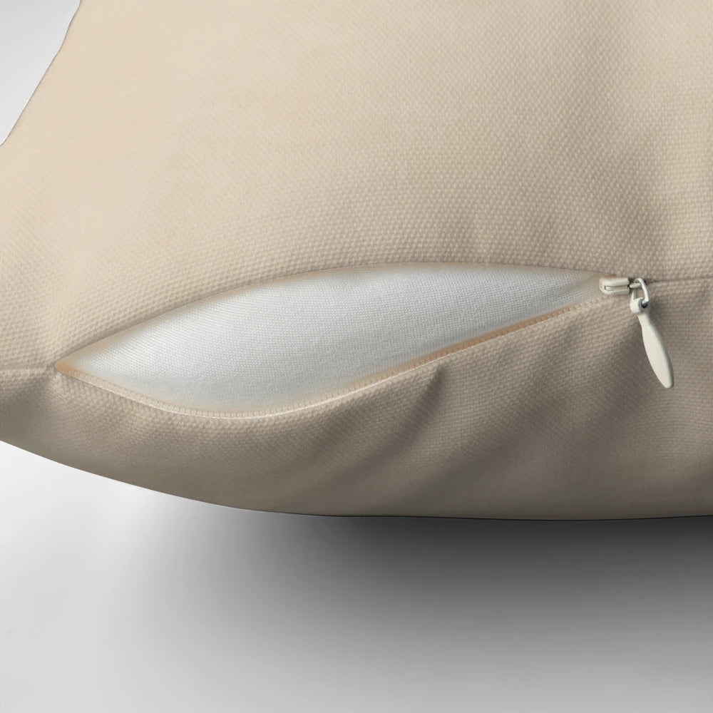 Dark academia-themed pillow with "Biblichor Definition" text