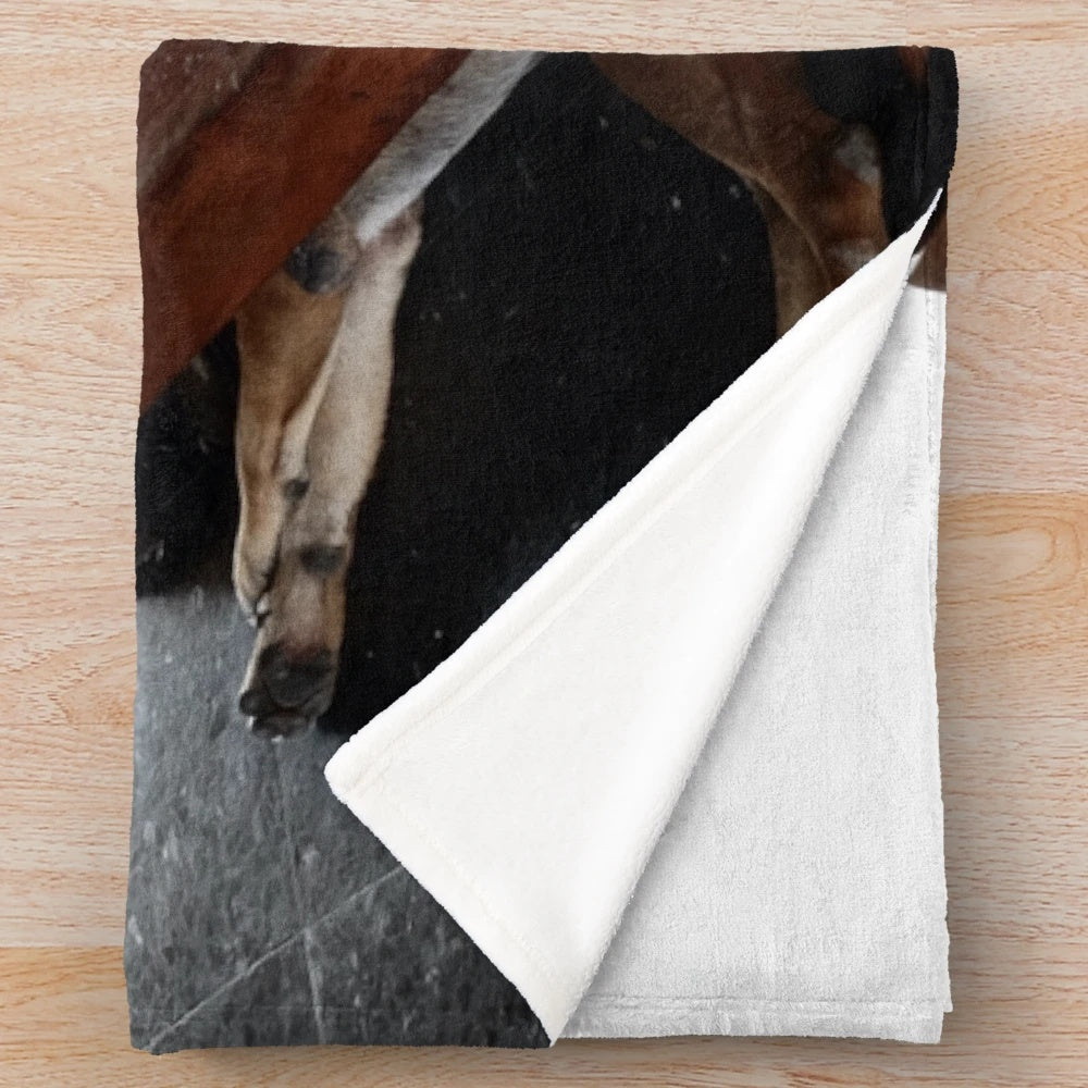 A soft, plush blanket featuring a relaxed dog design, perfect for cuddling and relaxation.