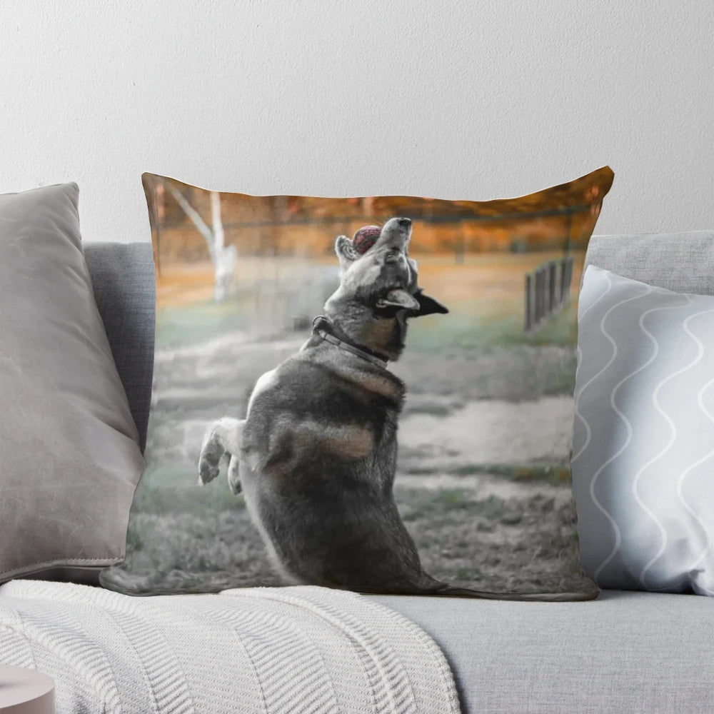 A high-quality pillow featuring a beautiful husky dog design, perfect for pet lovers.