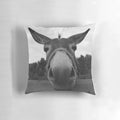 Soft, plush donkey grey farmhouse-style decorative pillow