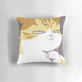 Soft and cuddly Eleceed-themed pillow featuring the character Kayden in cat form
