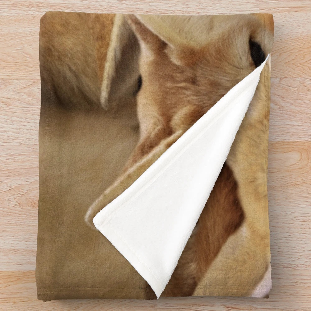 Fennec plush blanket, soft and cuddly desert fox design