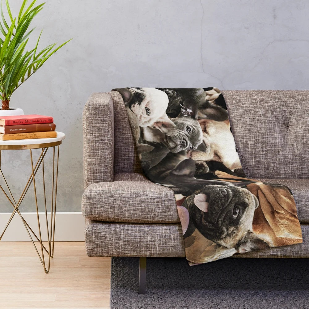 Soft and cuddly French Bulldog plush blanket