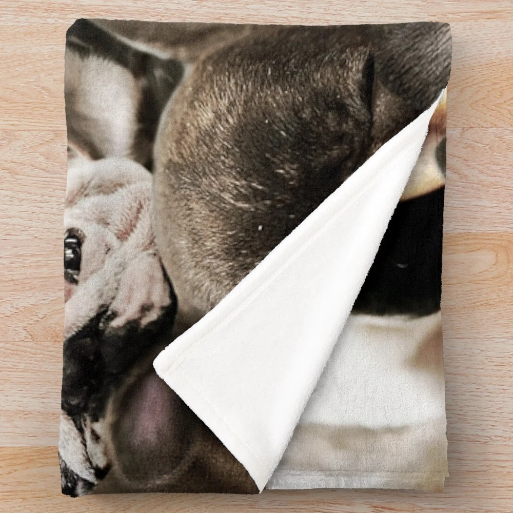 Soft and cuddly French Bulldog plush blanket