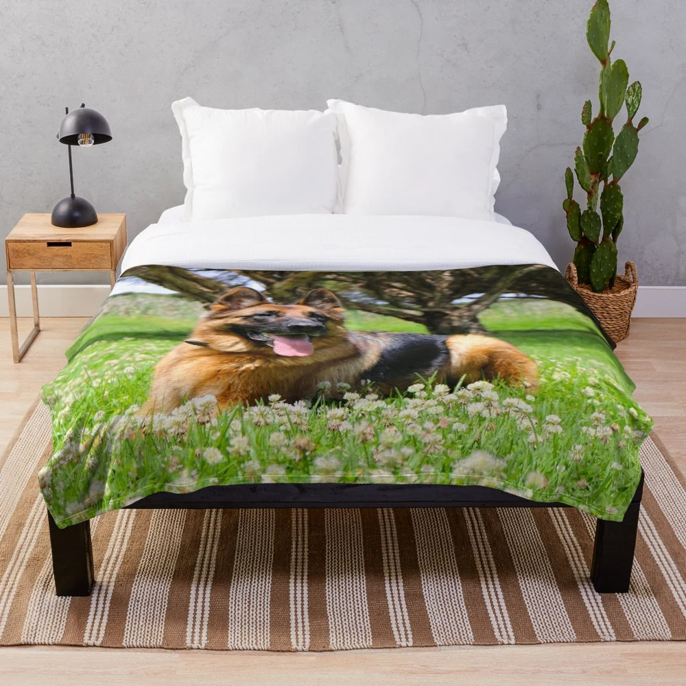 German Shepherd dog resting on a plush blanket in a grassy park