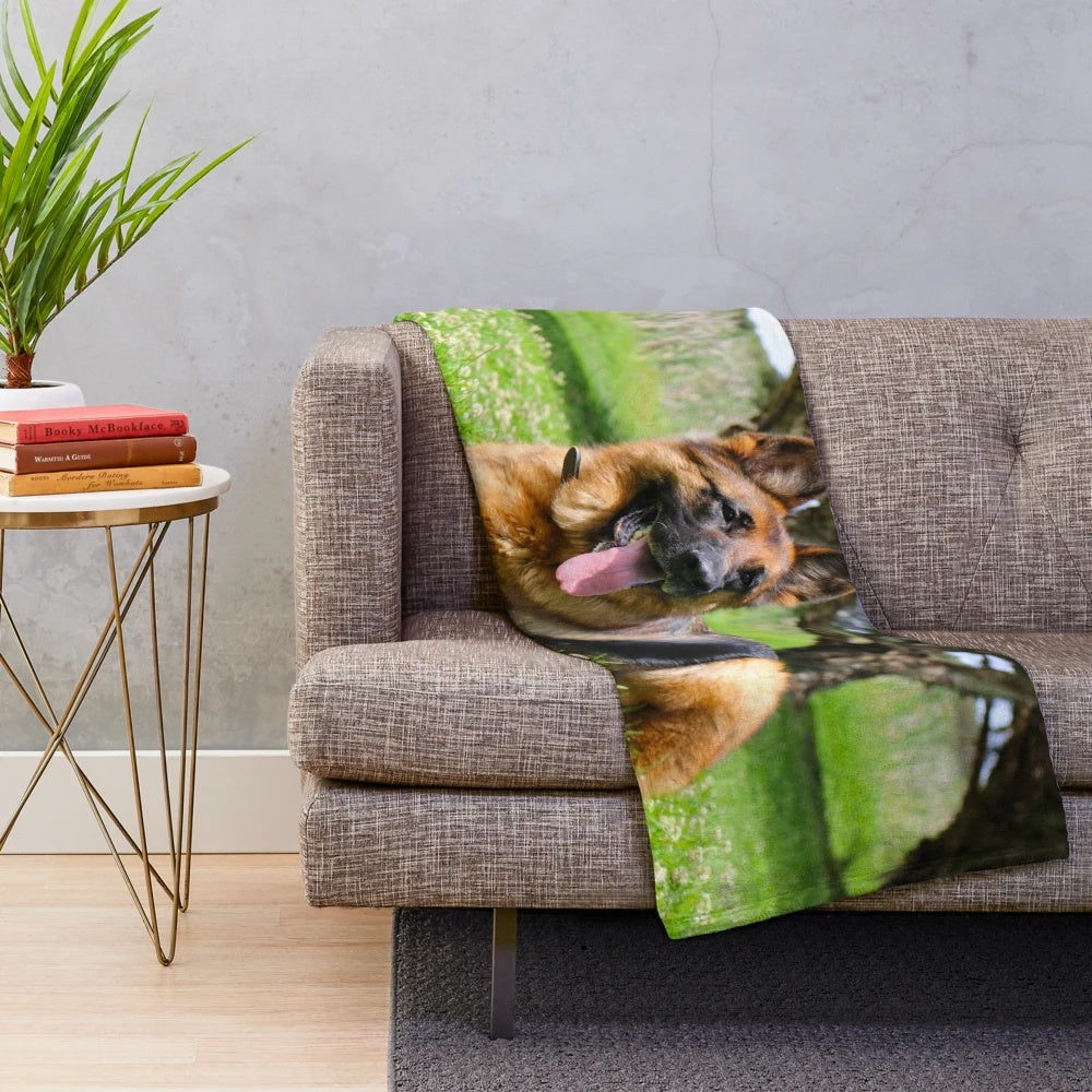 German Shepherd dog resting on a plush blanket in a grassy park