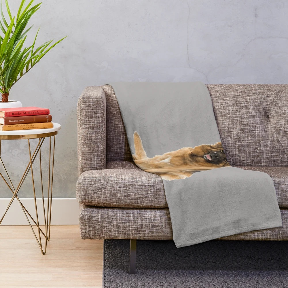 German Shepherd dog on a soft, plush blanket