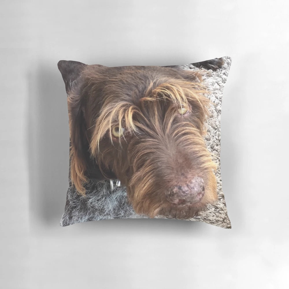 Soft, plush pillow featuring an adorable German Wirehaired Pointer dog